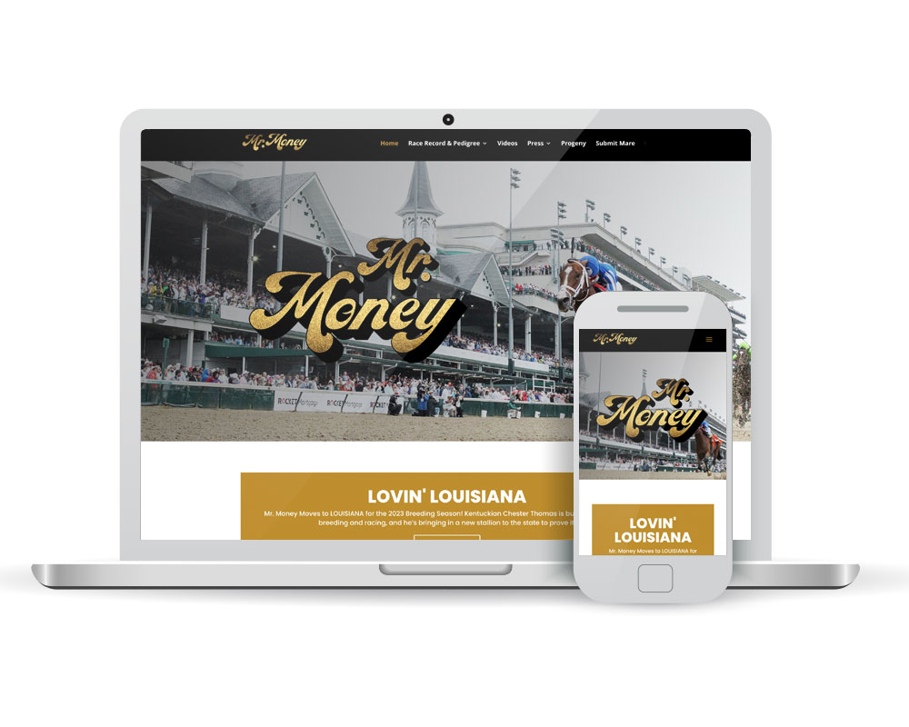 Website-MrMoney
